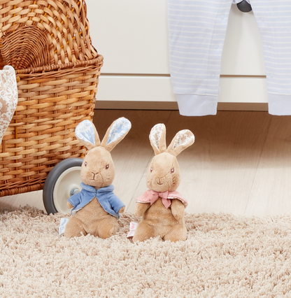 Peter Rabbit Signature Small Soft Toy (6)