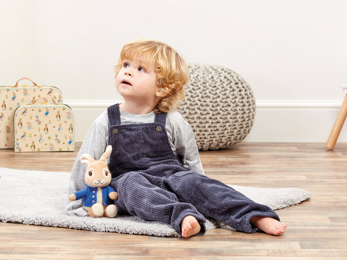 Peter Rabbit Soft Toy (4)
