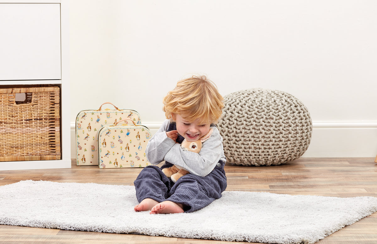 Peter Rabbit Soft Toy (5)