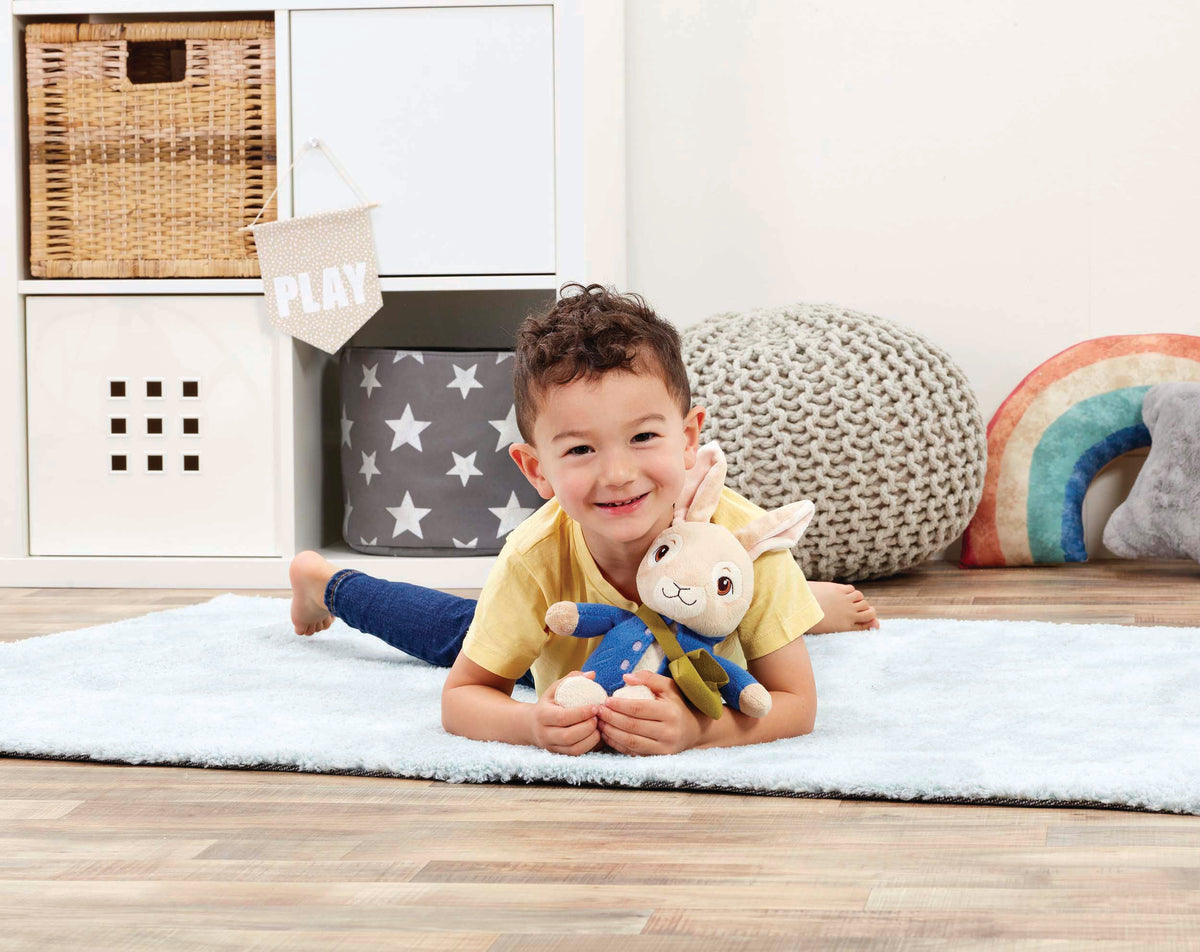 Peter Rabbit Talking Soft Toy (5)