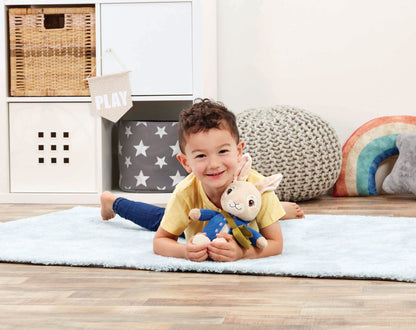 Peter Rabbit Talking Soft Toy (5)