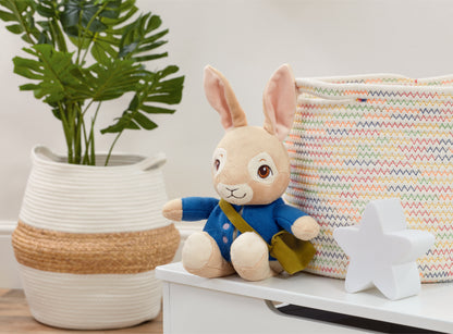 Peter Rabbit Talking Soft Toy (6)