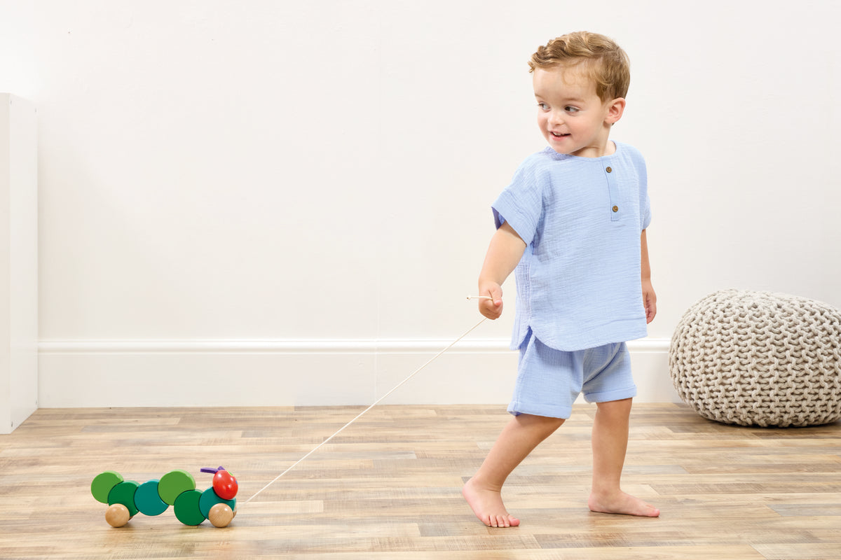 The Very Hungry Caterpillar Pull Along Toy (2)
