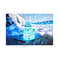 Wholesale Crayola Recolourable Light Up Snowman with 3 Markers - (Case of 8) (4)