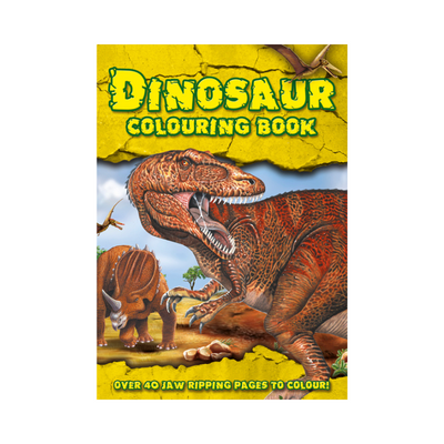 Wholesale Dinosaur Colouring Book - Case of 12