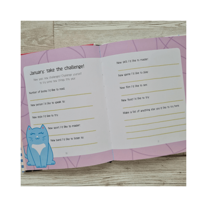 Wholesale My Kitten Journal - (Case of 36) (2)